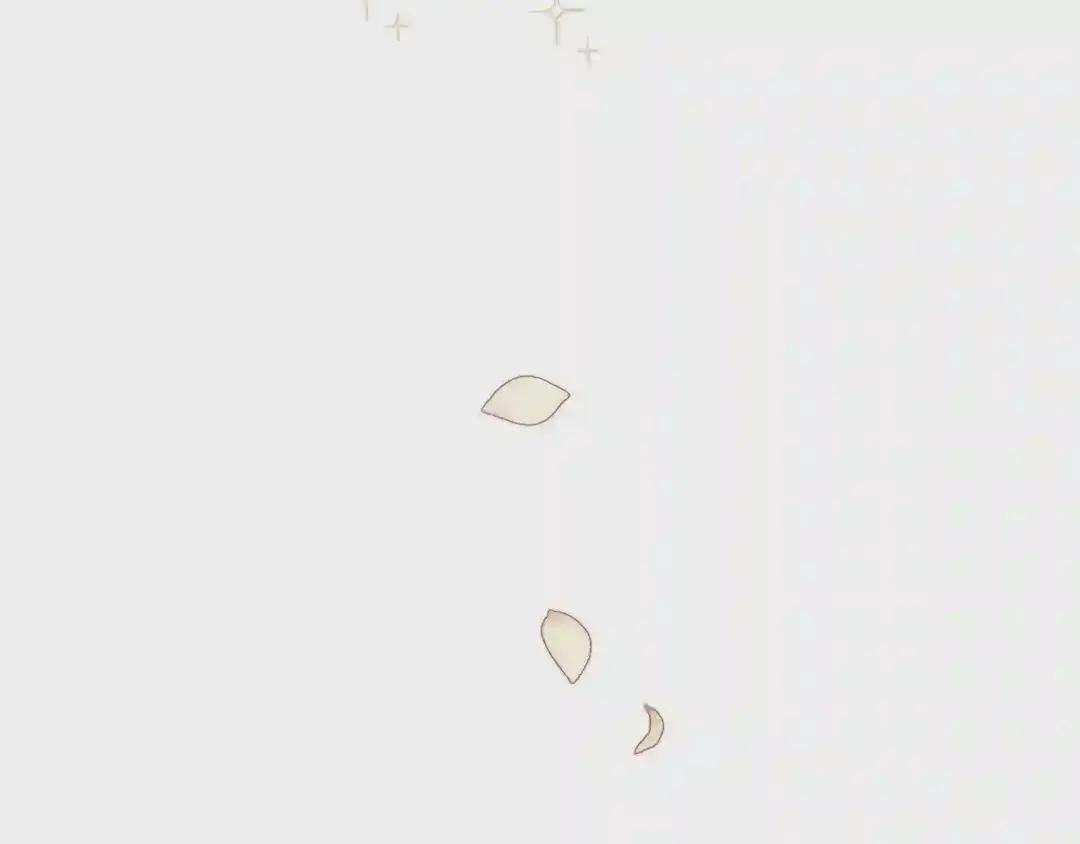第22话 玫瑰花语