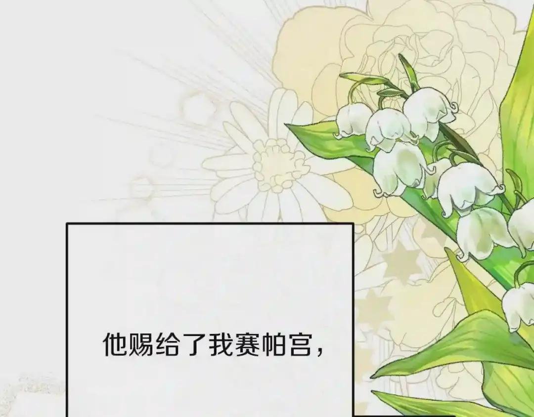 第27话 秘密武器