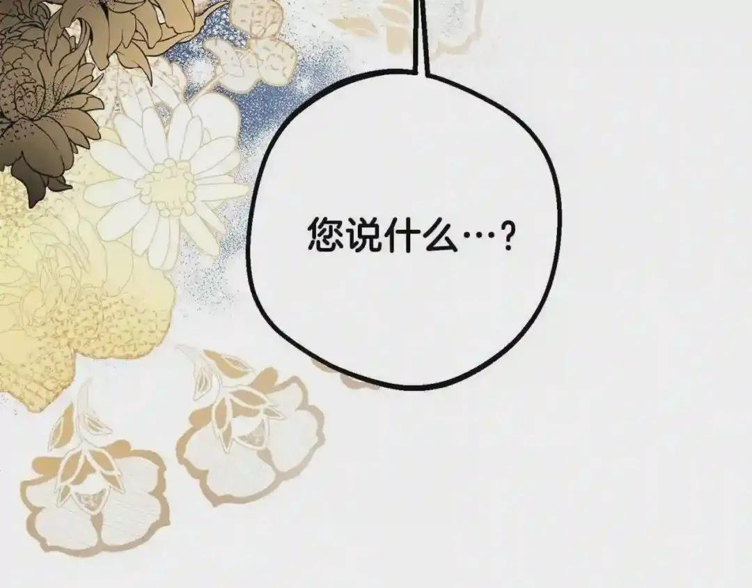 第30话 装饰品