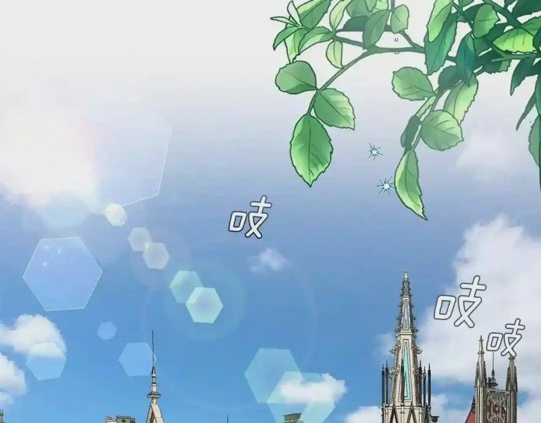 第33话 玫瑰