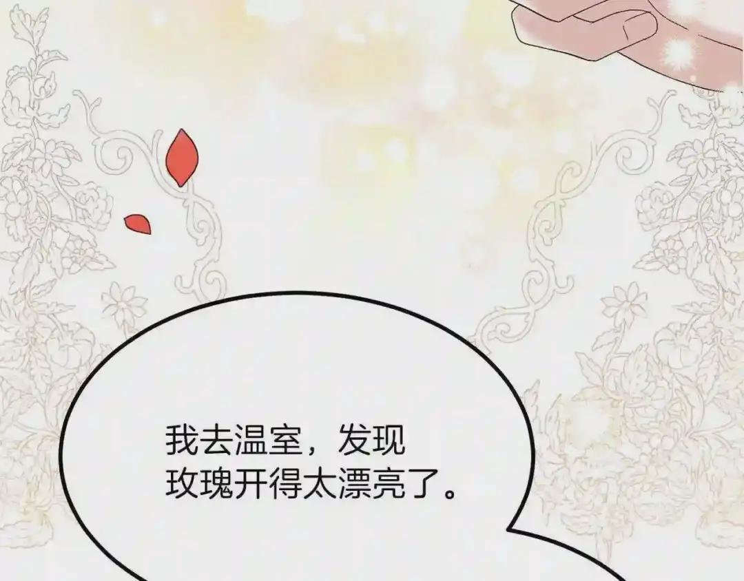 第33话 玫瑰