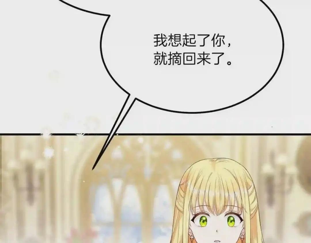 第33话 玫瑰