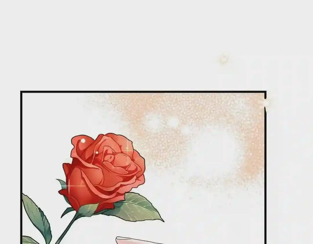第33话 玫瑰