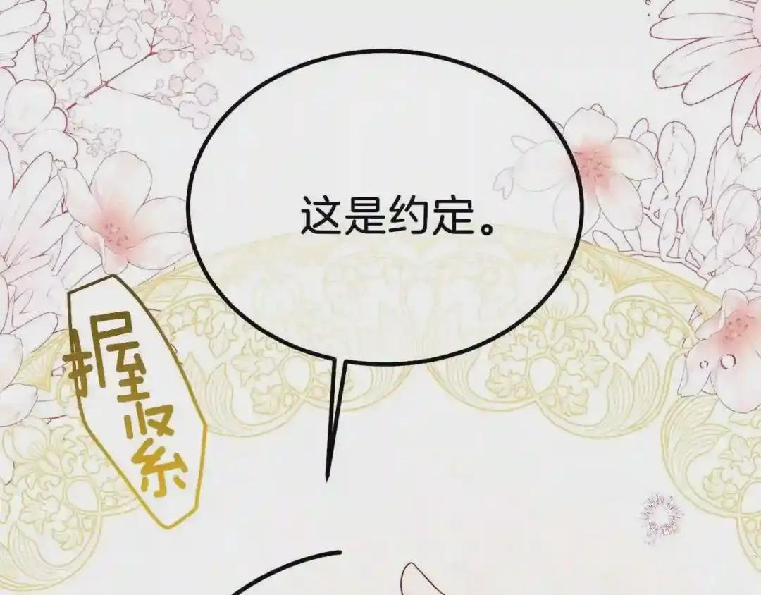 第34话 骑士之梦