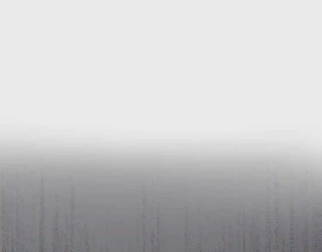 第36话 家主的宝藏