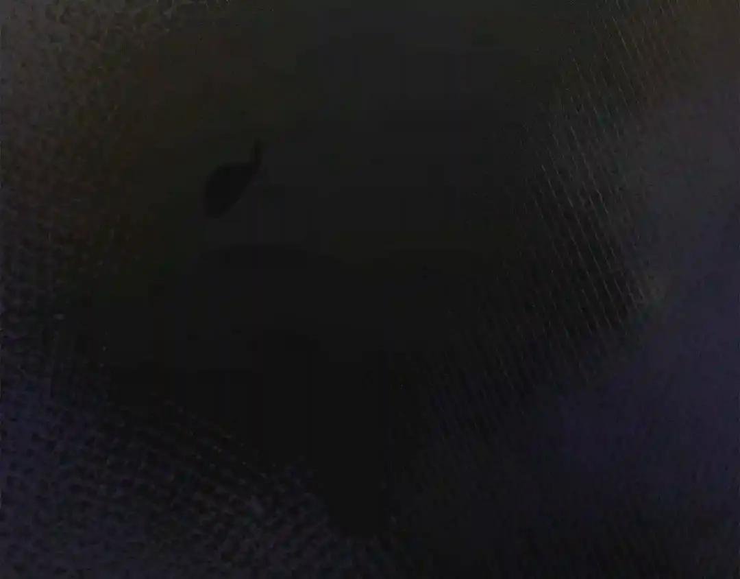 第37话 惨剧之源