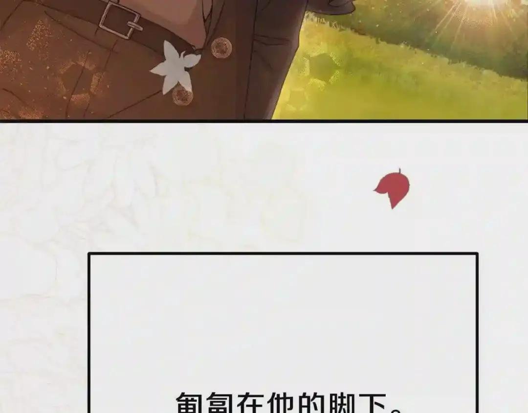 第37话 惨剧之源
