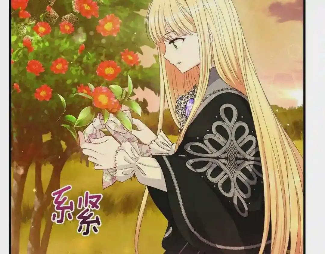 第38话 你是我的祝福吗?