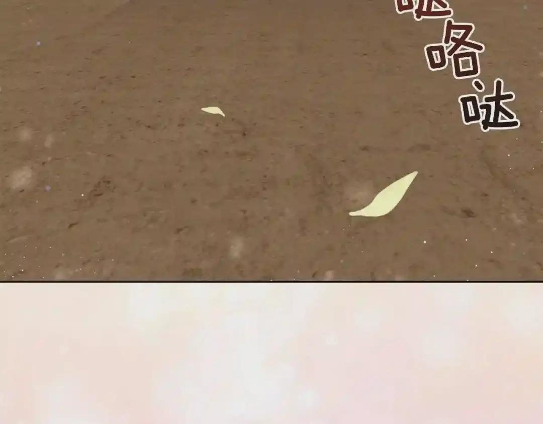 第38话 你是我的祝福吗?