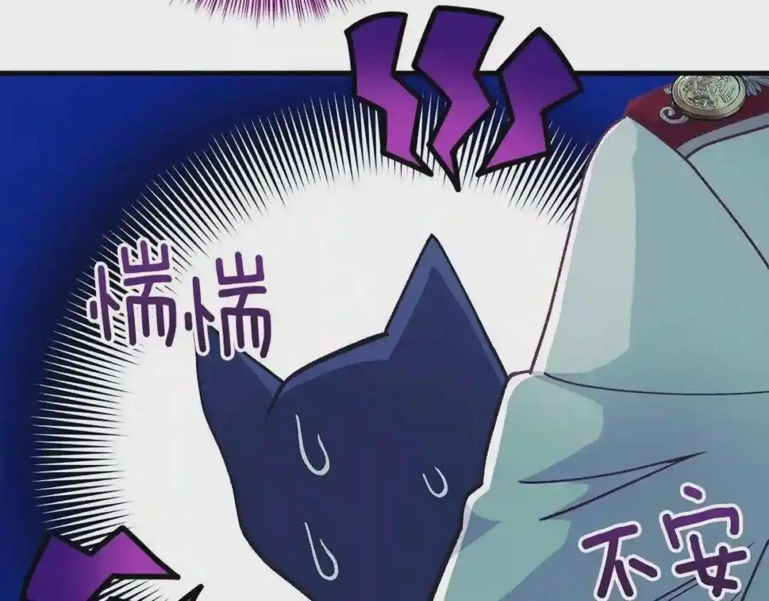 第一季完结篇 猫猫惊恐