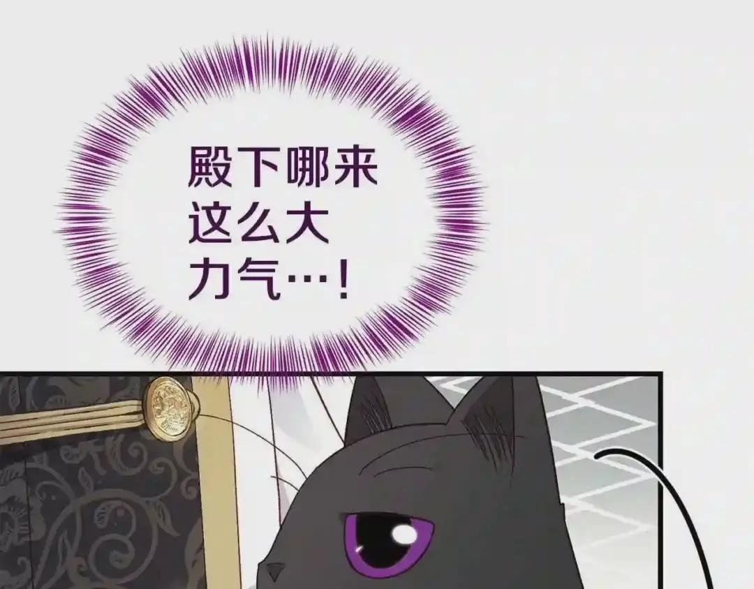 第一季完结篇 猫猫惊恐