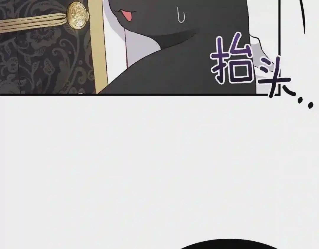 第一季完结篇 猫猫惊恐