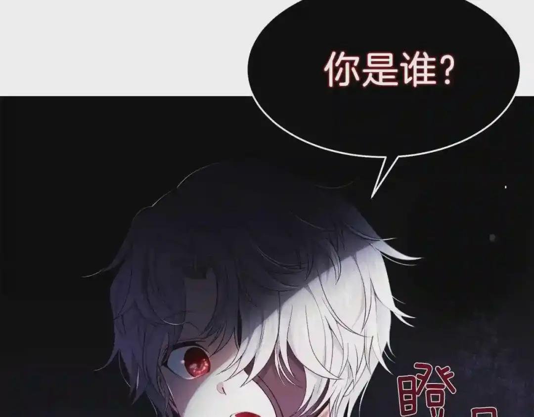 第一季完结篇 猫猫惊恐
