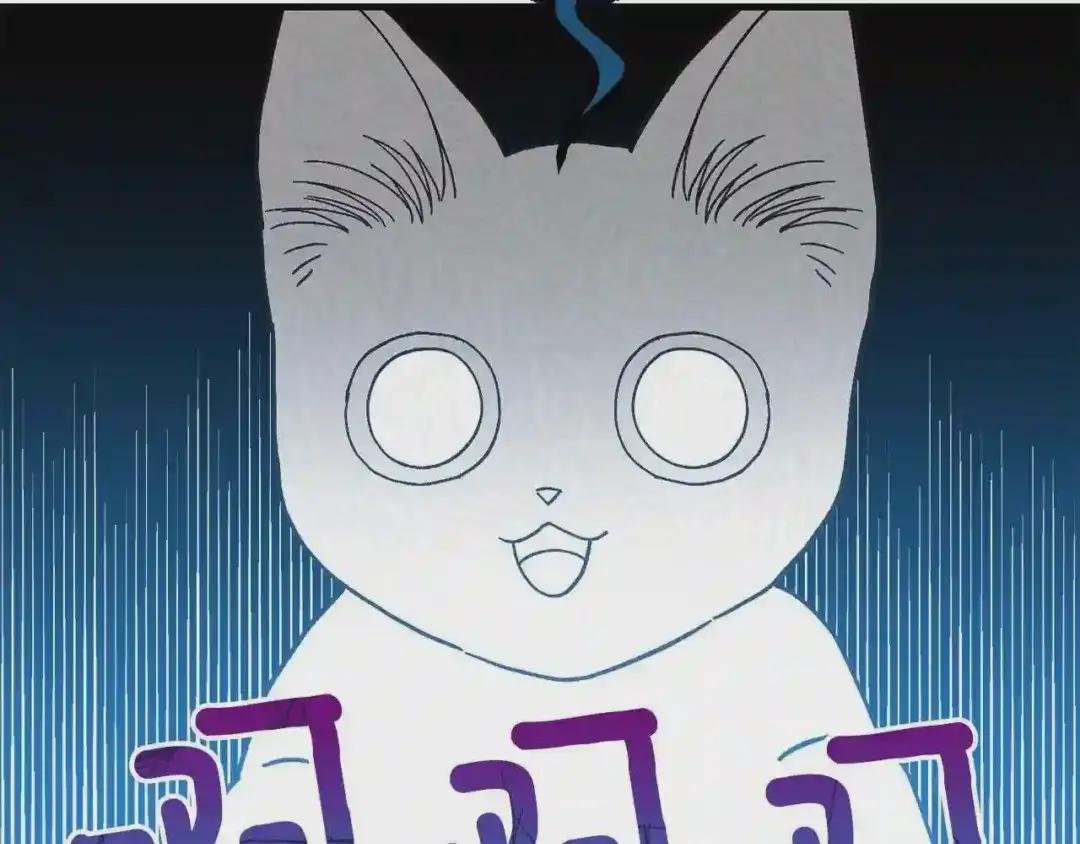 第一季完结篇 猫猫惊恐