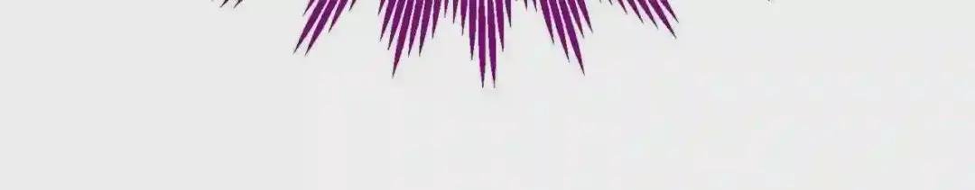 第一季完结篇 猫猫惊恐