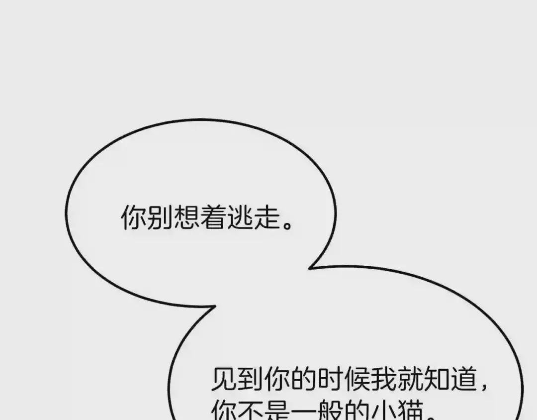 第一季完结篇 猫猫惊恐
