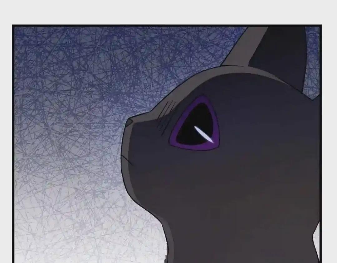 第一季完结篇 猫猫惊恐