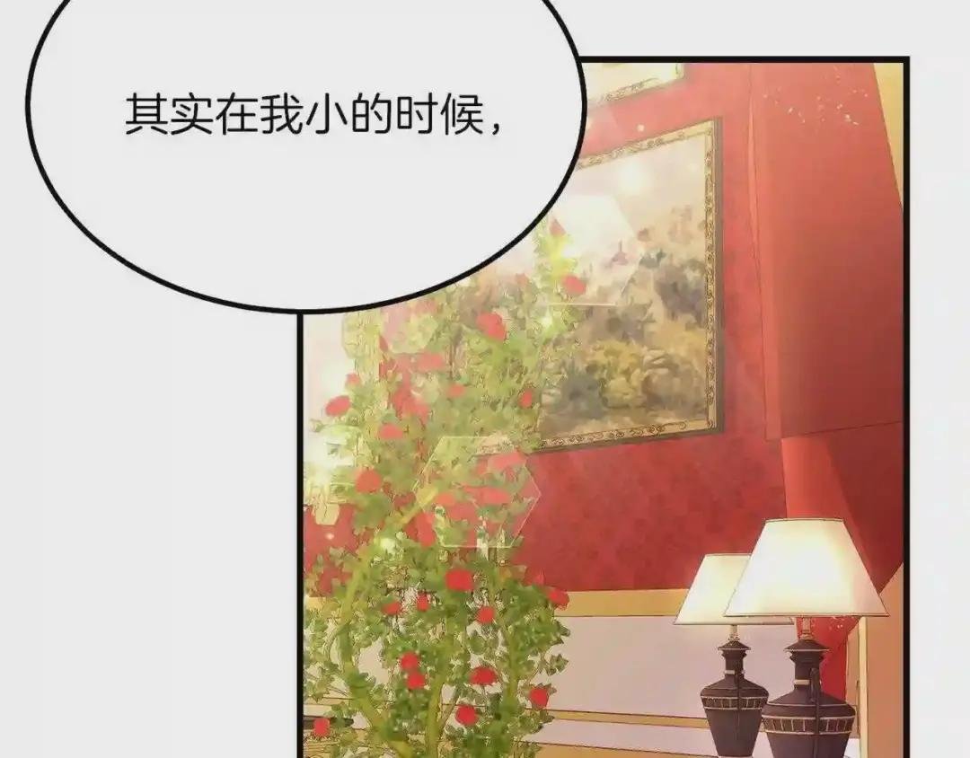第一季完结篇 猫猫惊恐