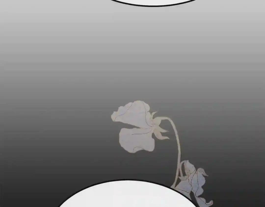 第一季完结篇 猫猫惊恐
