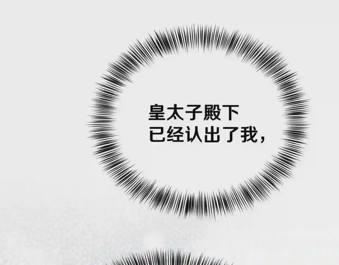 第一季完结篇 猫猫惊恐