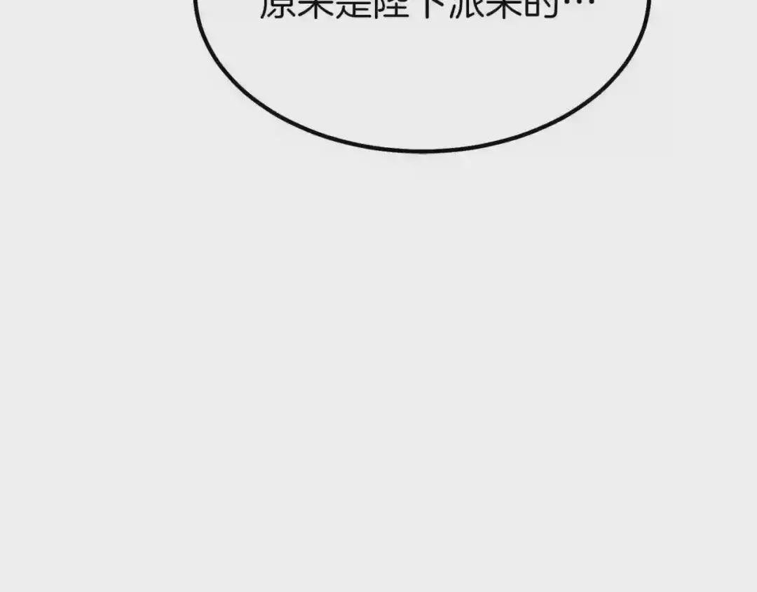 第一季完结篇 猫猫惊恐