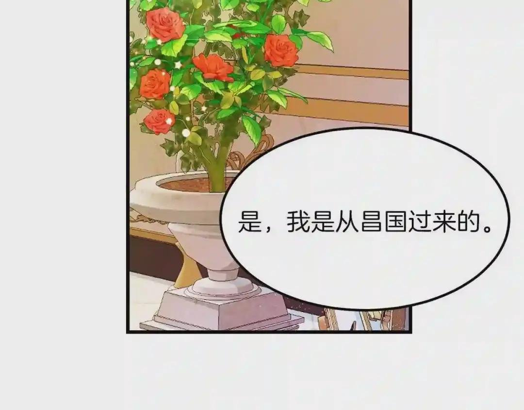 第一季完结篇 猫猫惊恐