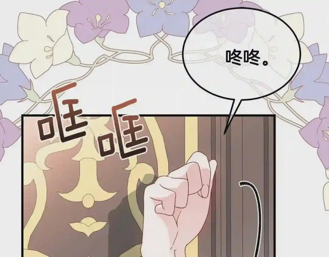 第一季完结篇 猫猫惊恐