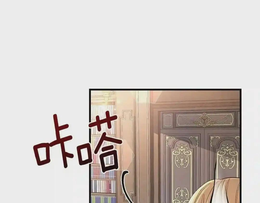第一季完结篇 猫猫惊恐