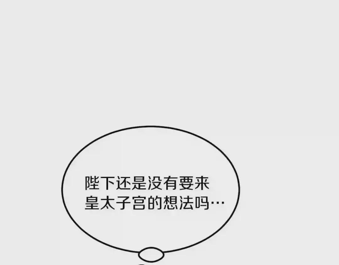 第二季第1话 太子妃的护卫