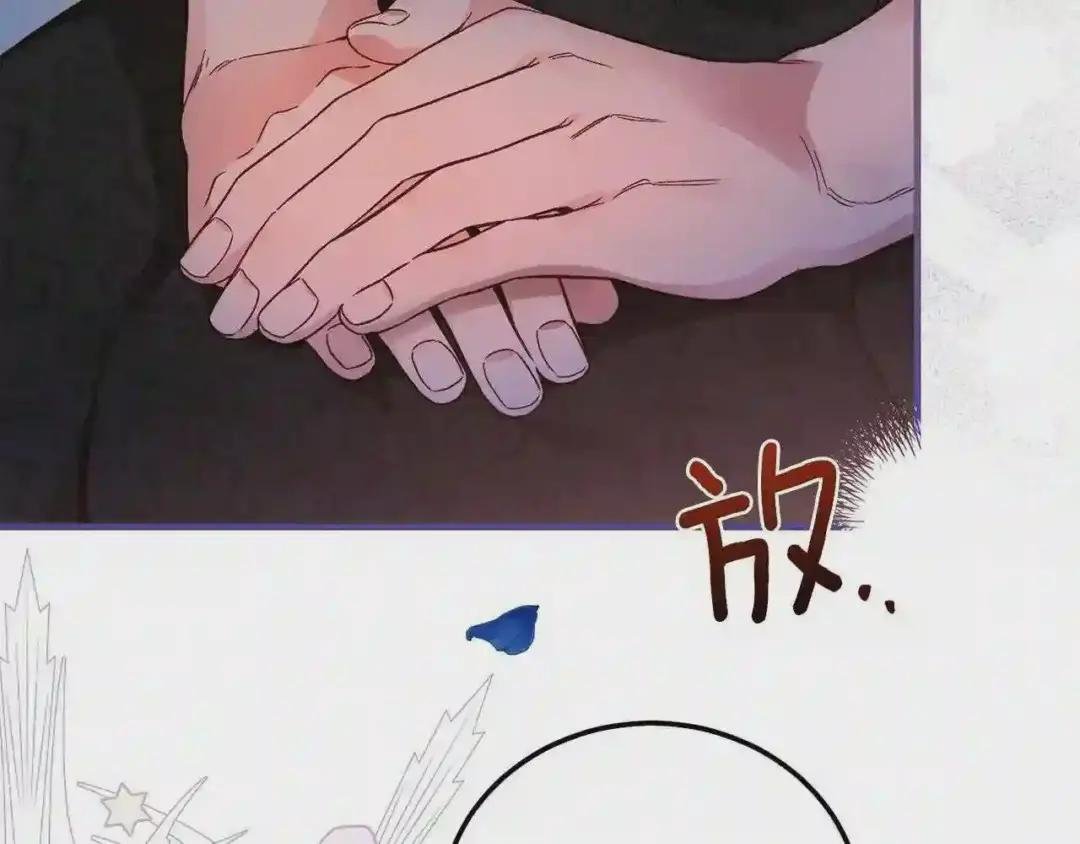 第二季第2话 小猫的过去