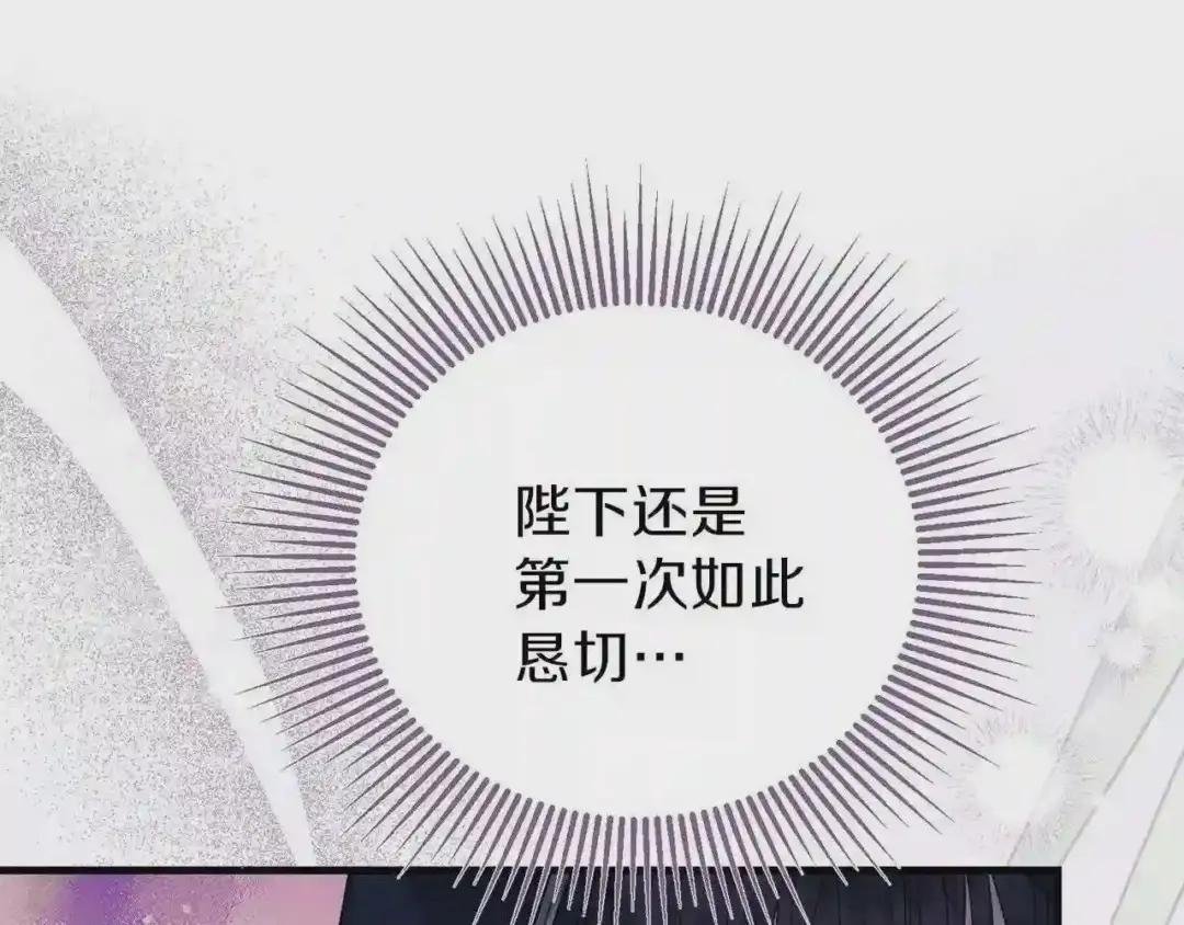 第二季第2话 小猫的过去