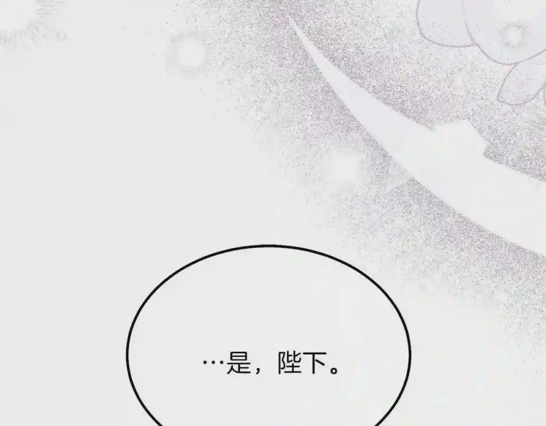 第二季第2话 小猫的过去