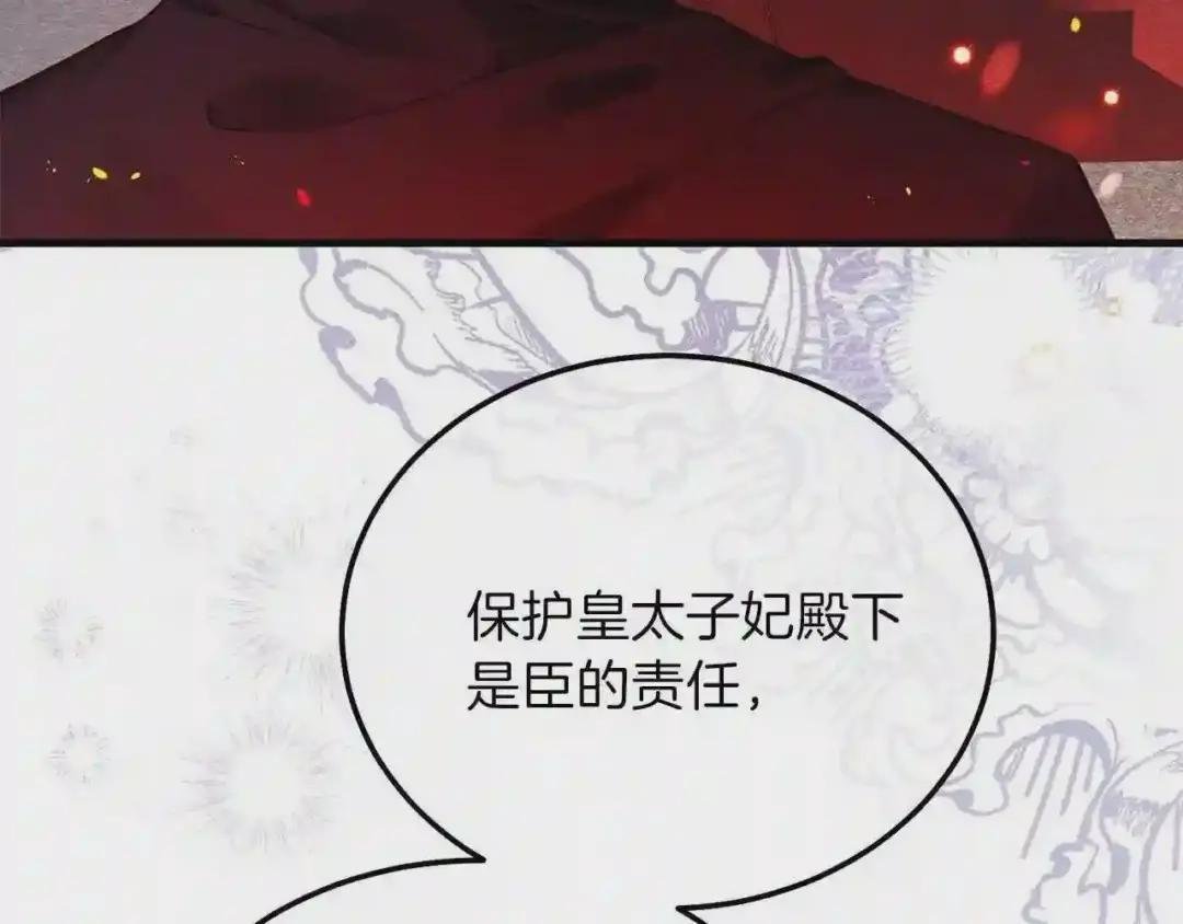 第二季第2话 小猫的过去