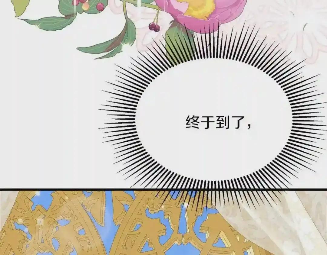 第二季第2话 小猫的过去