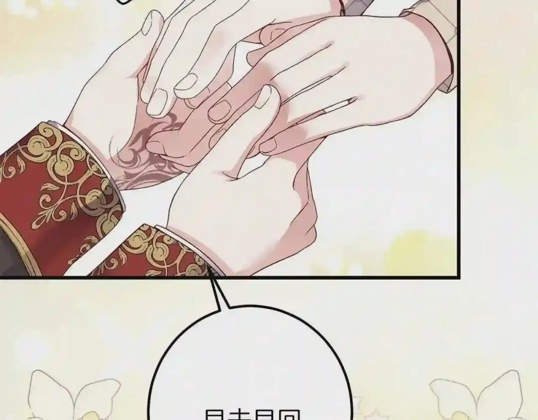 第二季第2话 小猫的过去
