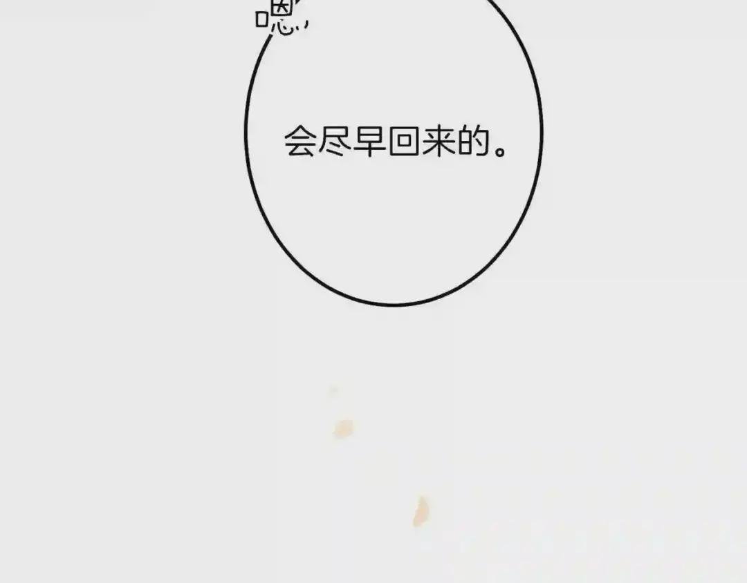 第二季第2话 小猫的过去