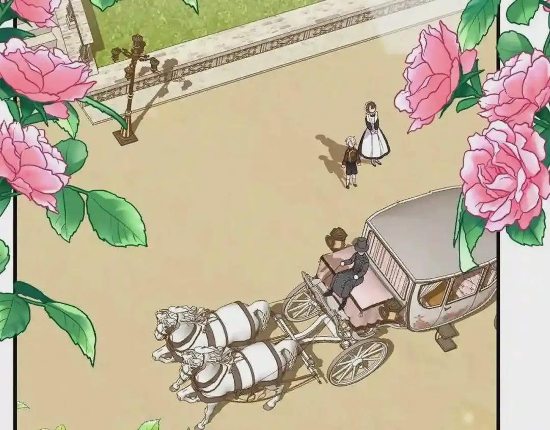 第二季第2话 小猫的过去