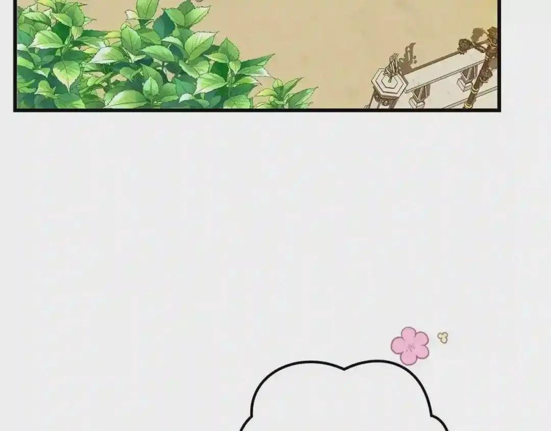 第二季第2话 小猫的过去