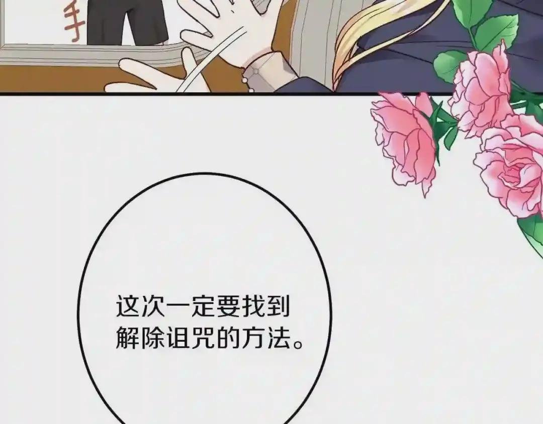 第二季第2话 小猫的过去