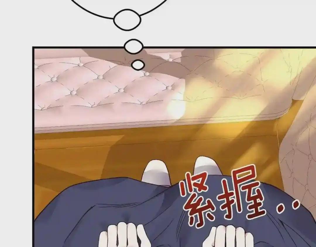 第二季第2话 小猫的过去