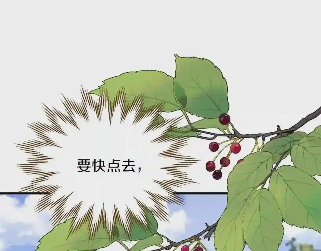 第二季第2话 小猫的过去