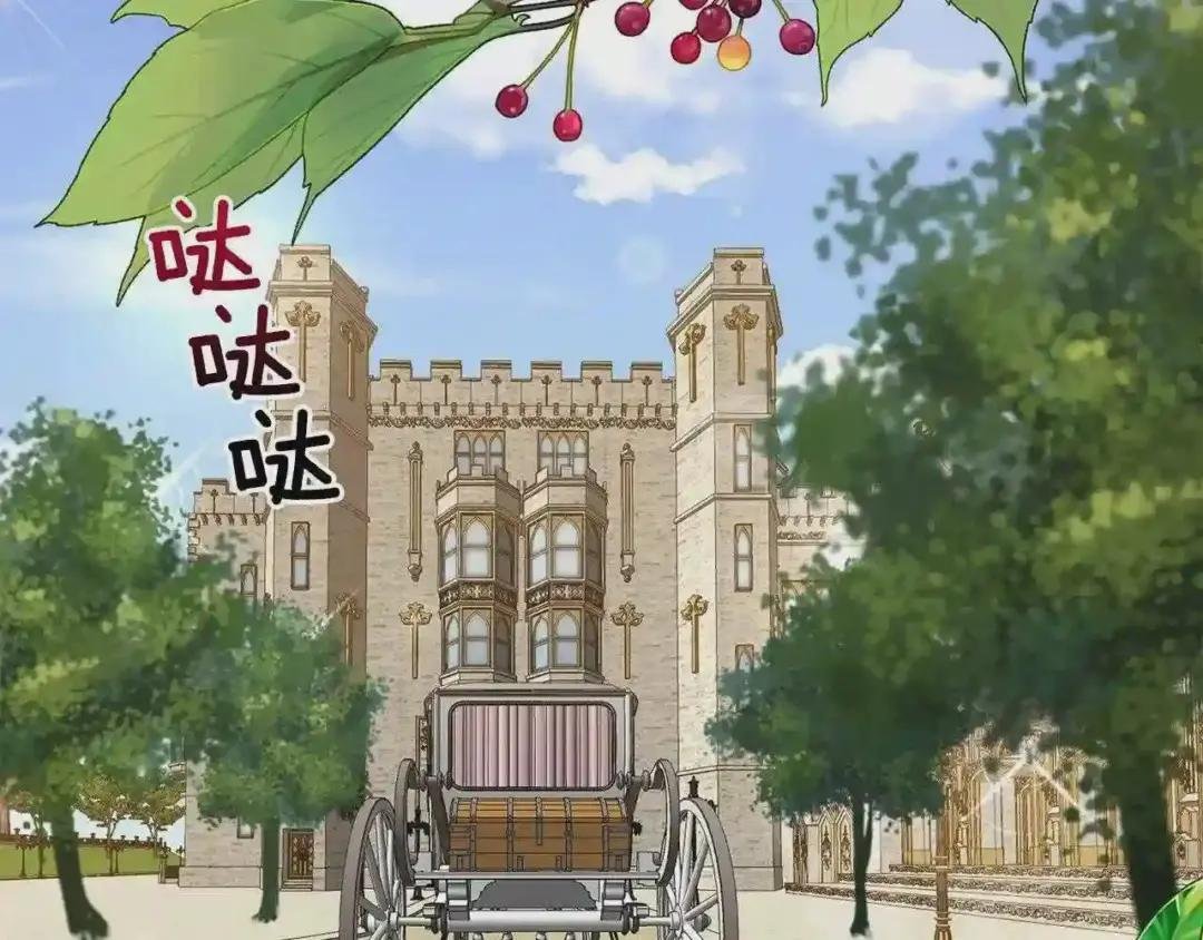第二季第2话 小猫的过去