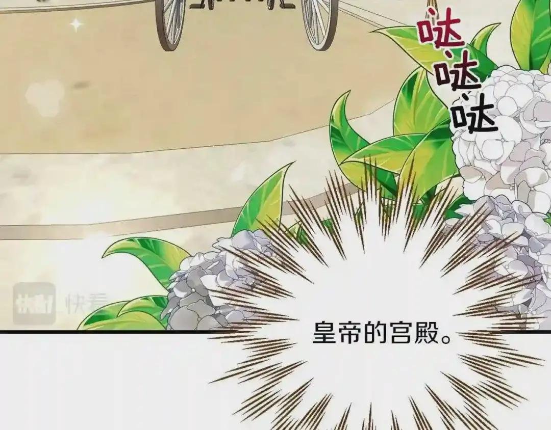 第二季第2话 小猫的过去