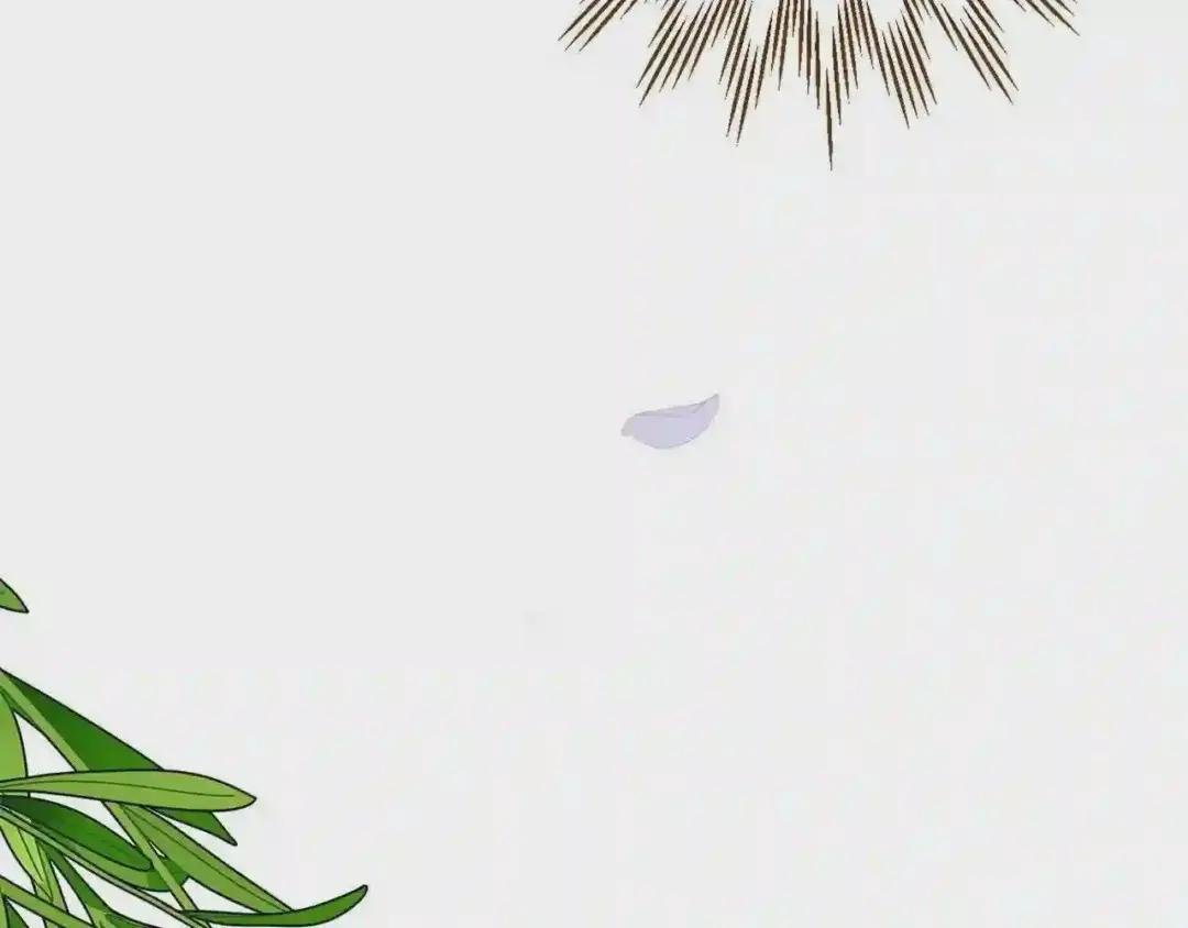 第二季第2话 小猫的过去