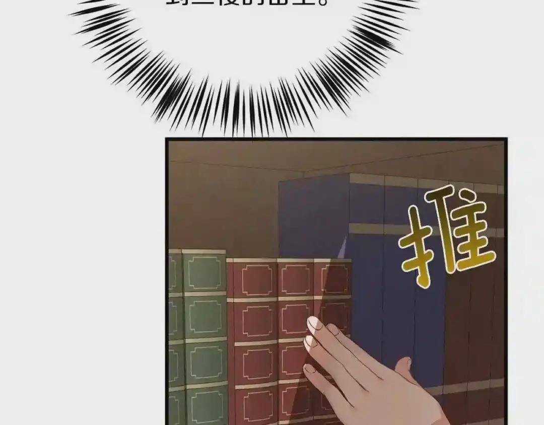 第二季第2话 小猫的过去