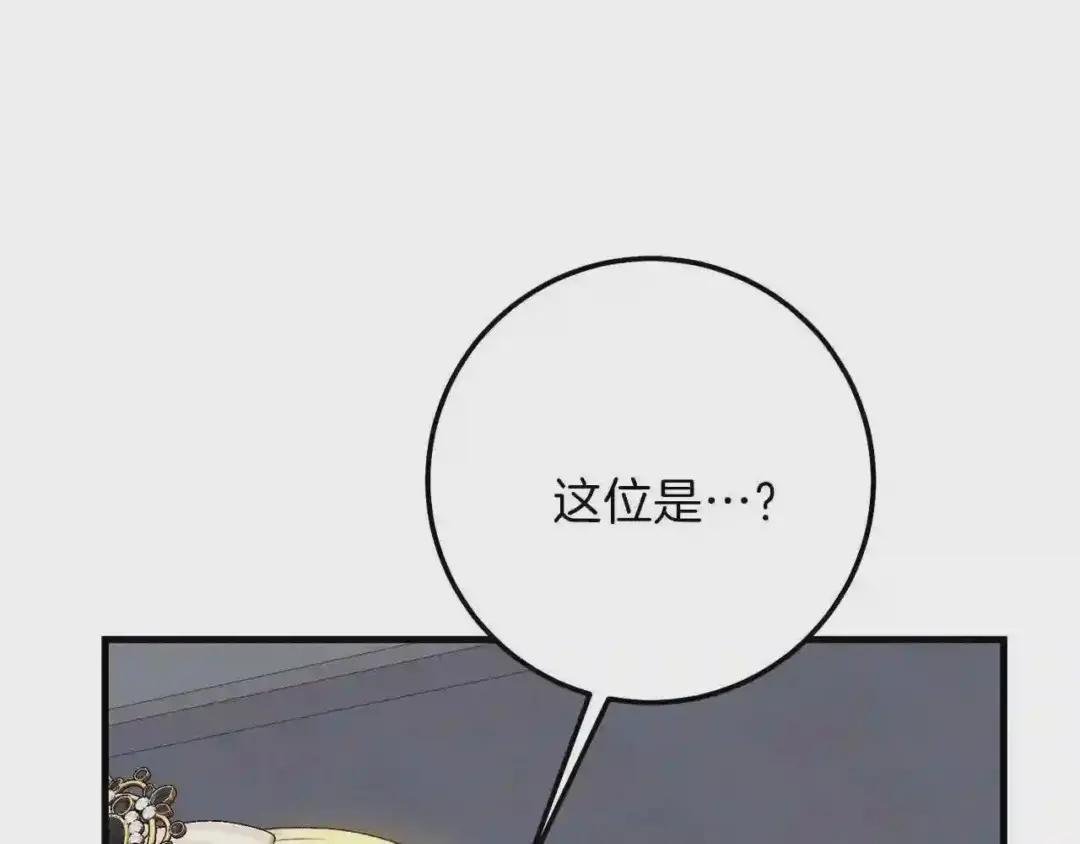 第二季第2话 小猫的过去