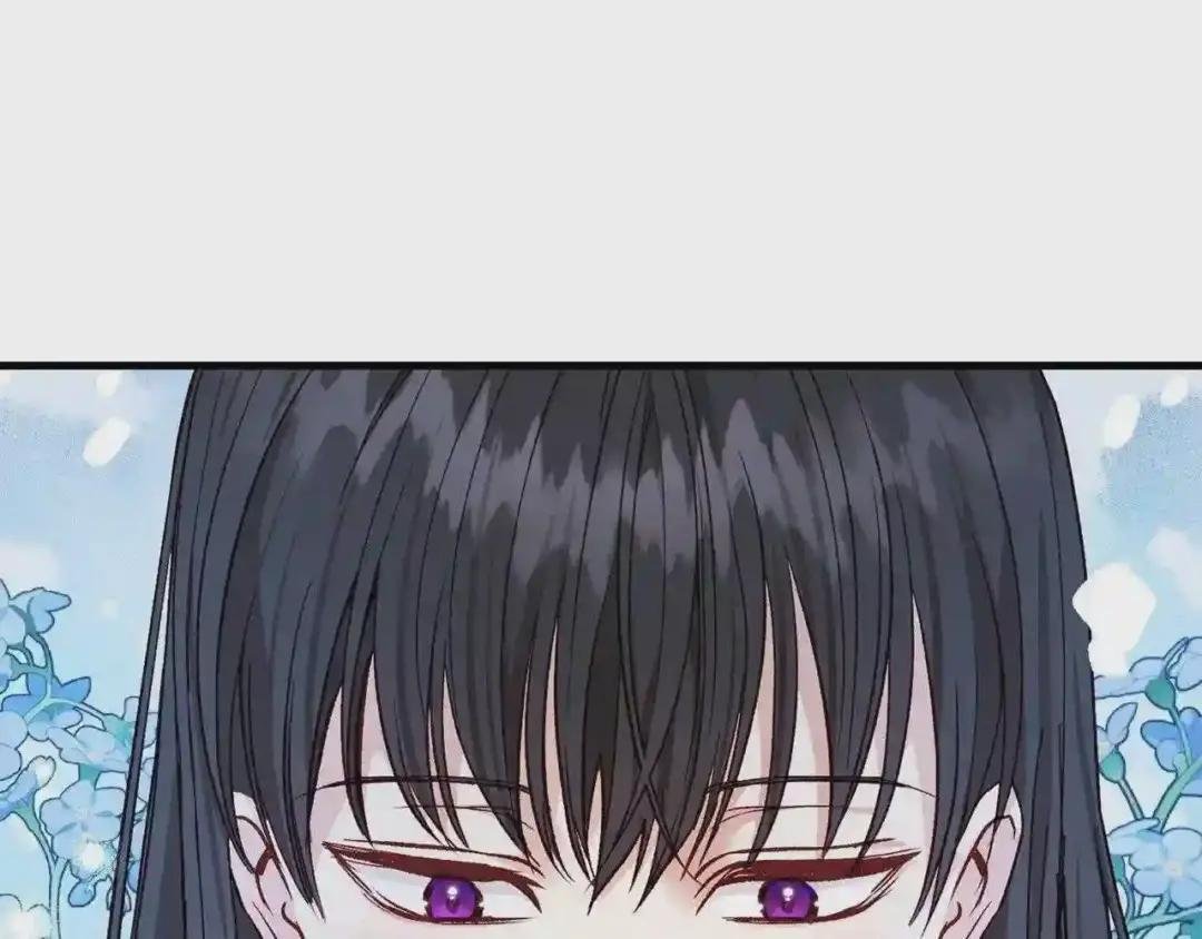 第二季第2话 小猫的过去
