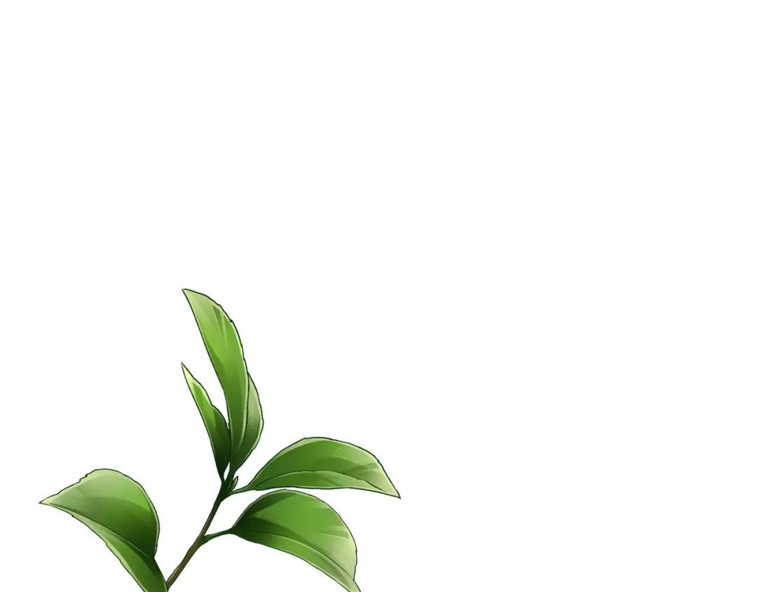 第15话 命运舞会