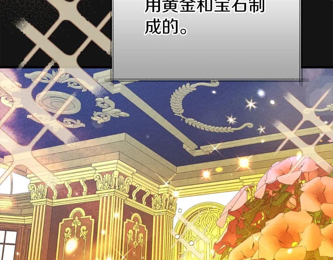 第27话 寻光