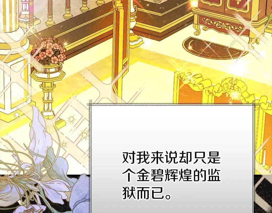 第27话 寻光